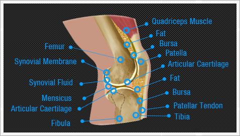 Hip Condition