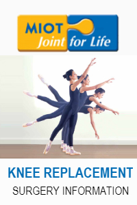 Knee